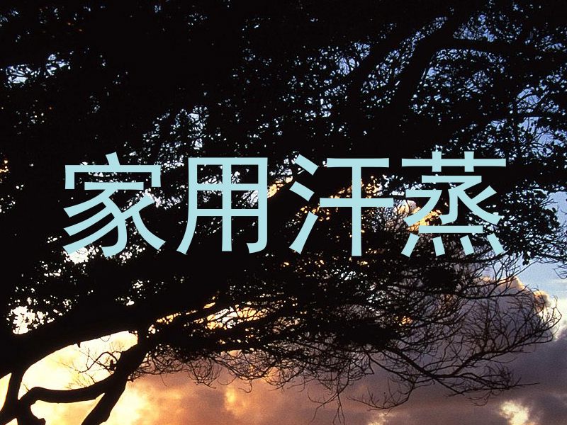 家用汗蒸
