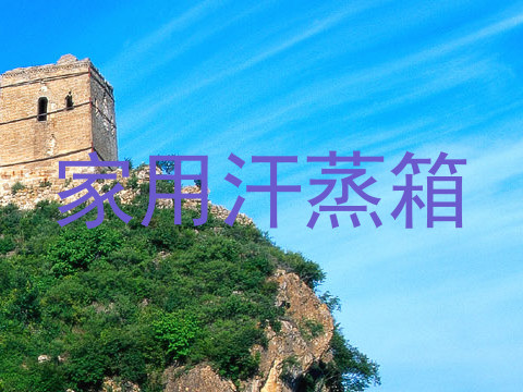 家用汗蒸箱