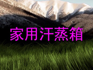 家用汗蒸箱