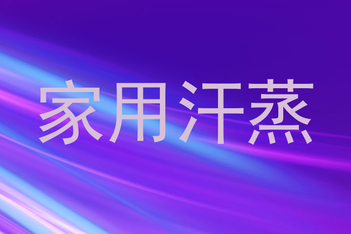 家用汗蒸
