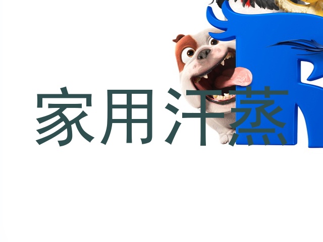 家用汗蒸