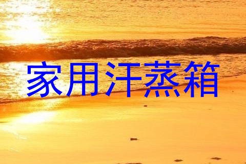 家用汗蒸箱