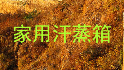 家用汗蒸箱