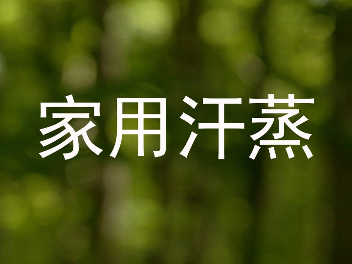 家用汗蒸