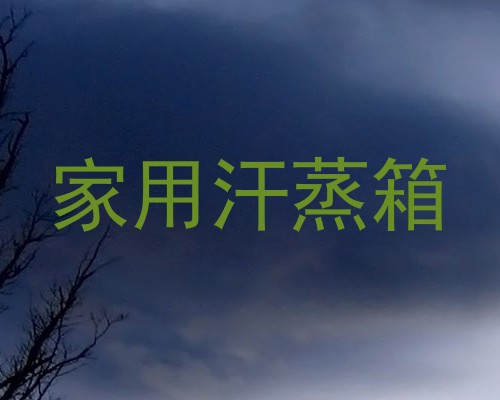 家用汗蒸箱