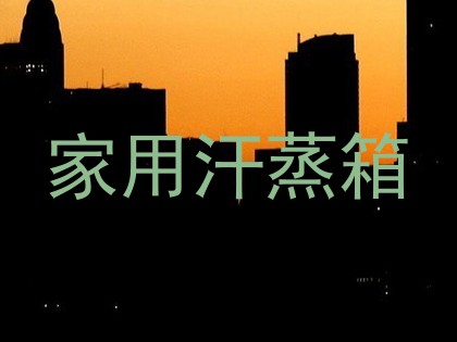 家用汗蒸箱