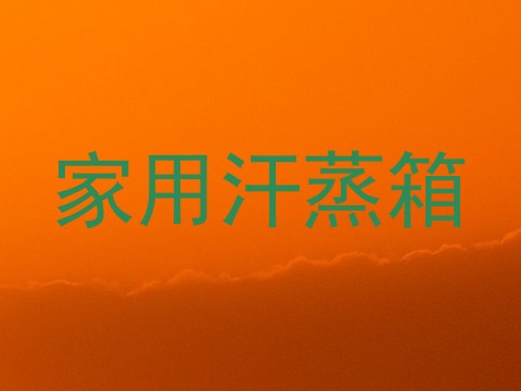 家用汗蒸箱