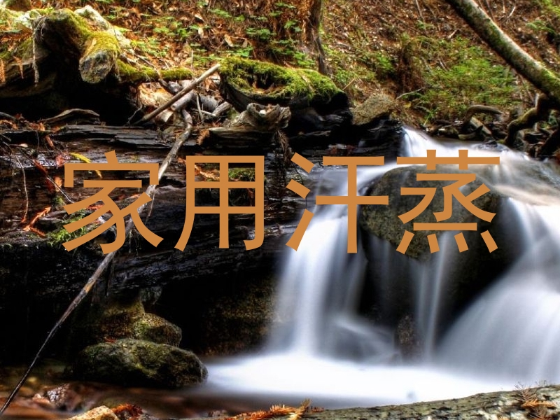 家用汗蒸