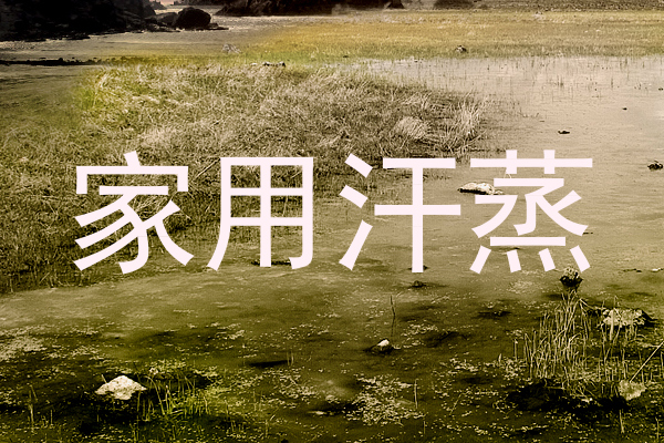 家用汗蒸