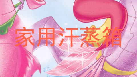 家用汗蒸箱
