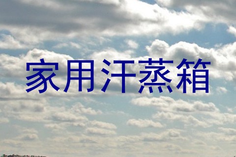 家用汗蒸箱