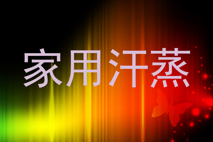 家用汗蒸