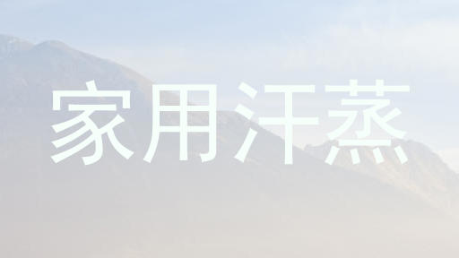 家用汗蒸