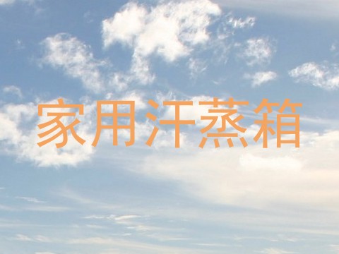 家用汗蒸箱