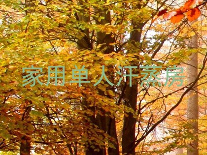 家用单人汗蒸房