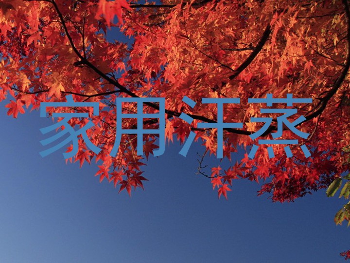 家用汗蒸
