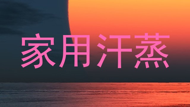 家用汗蒸