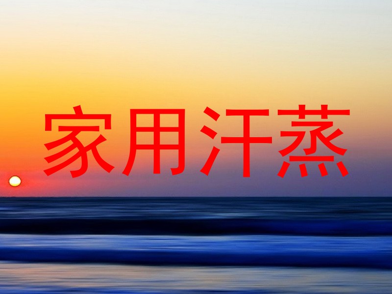 家用汗蒸
