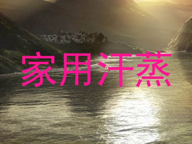家用汗蒸