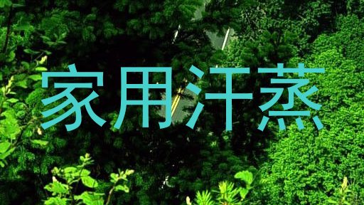 家用汗蒸