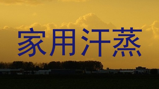 家用汗蒸