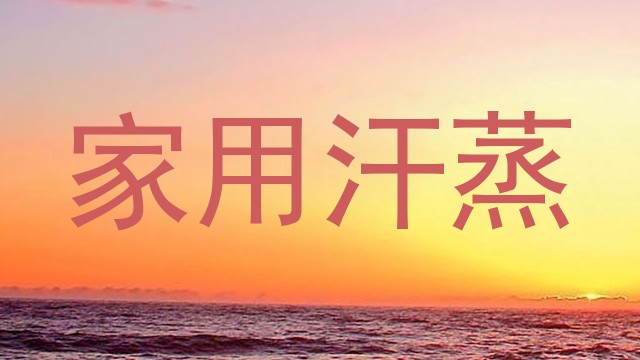 家用汗蒸