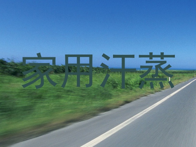 家用汗蒸