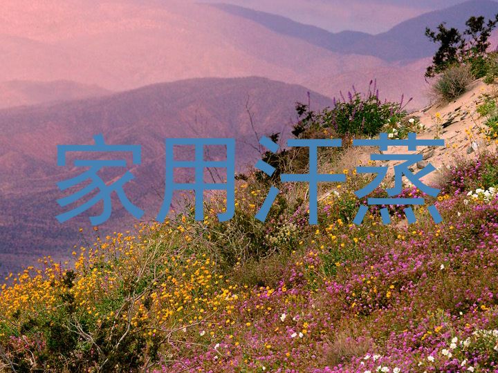 家用汗蒸
