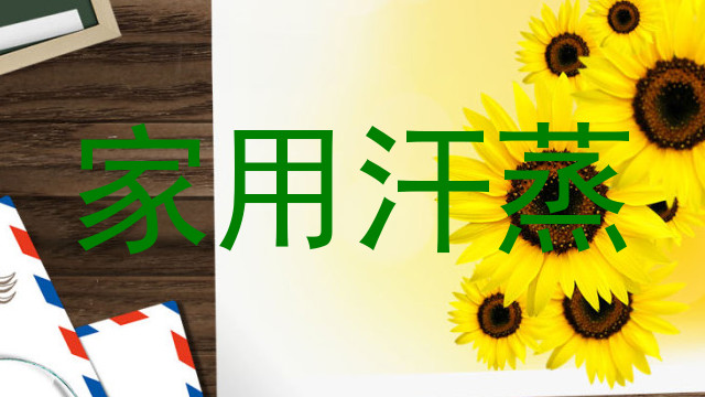 家用汗蒸