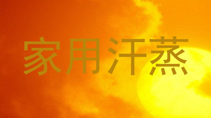 家用汗蒸