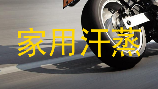 家用汗蒸