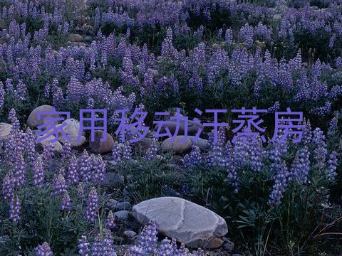 家用移动汗蒸房