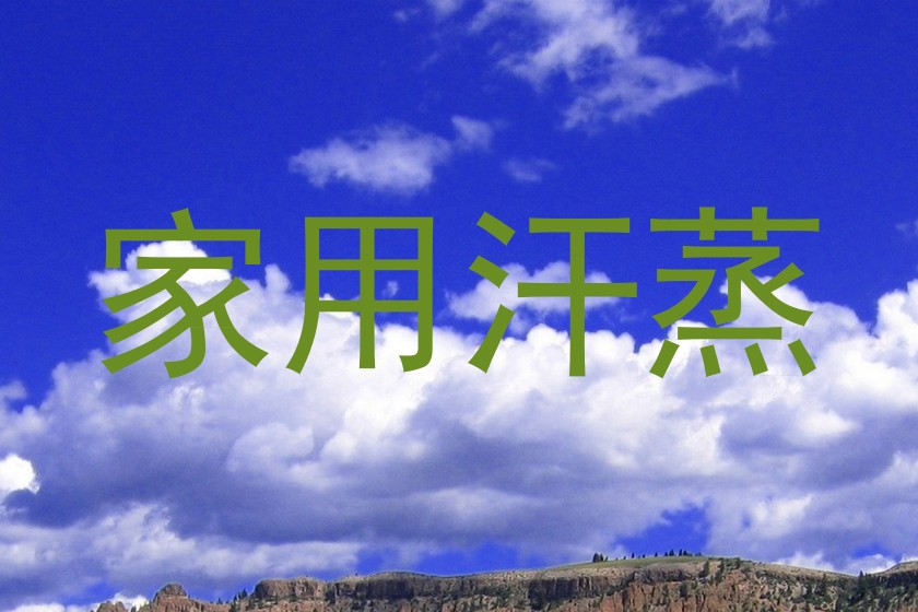 家用汗蒸