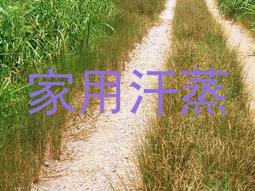 家用汗蒸