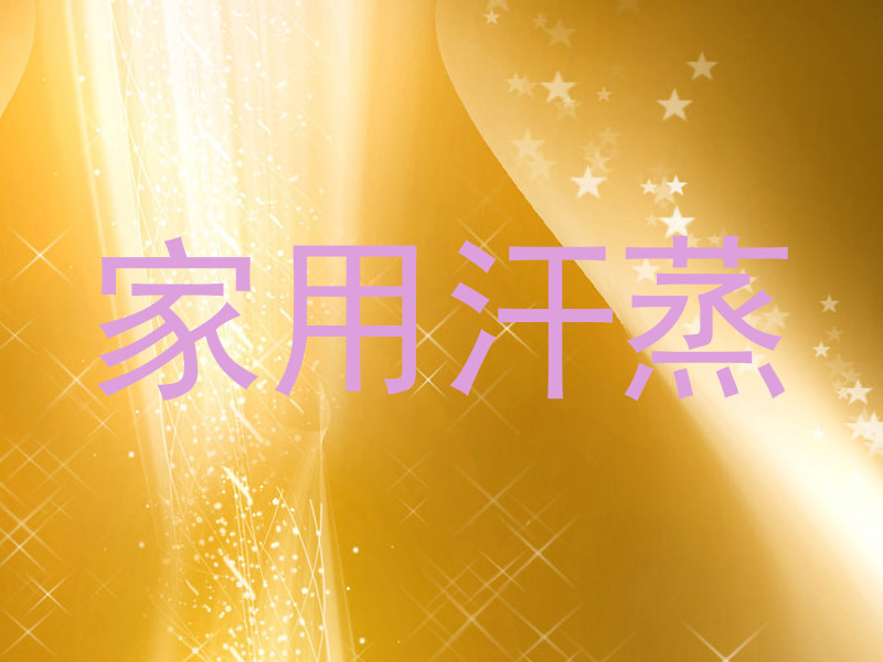 家用汗蒸
