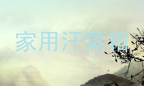 家用汗蒸箱