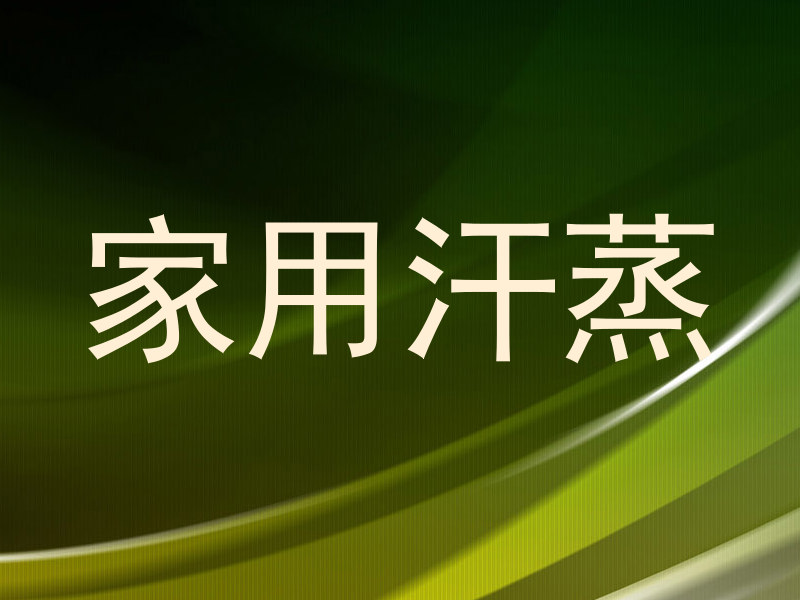 家用汗蒸