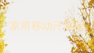家用移动汗蒸房