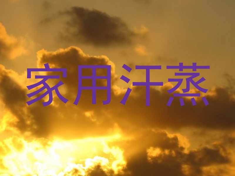 家用汗蒸