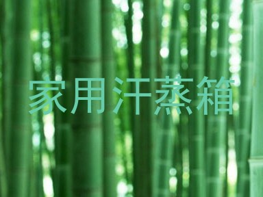 家用汗蒸箱