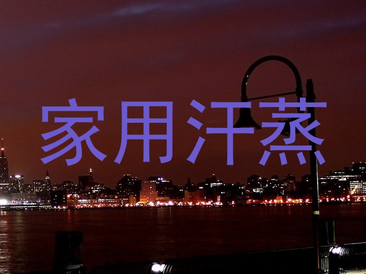 家用汗蒸