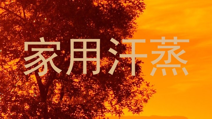 家用汗蒸