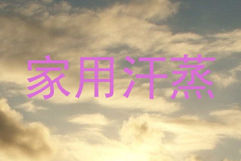 家用汗蒸