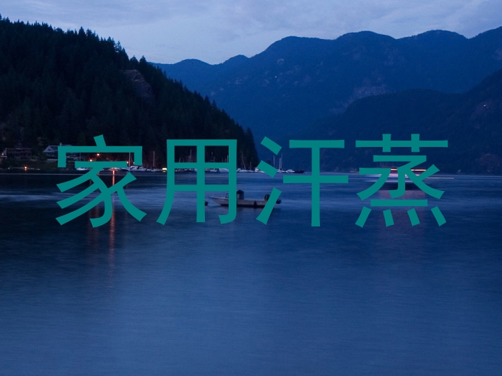 家用汗蒸