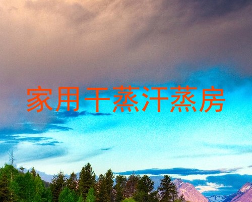 家用干蒸汗蒸房