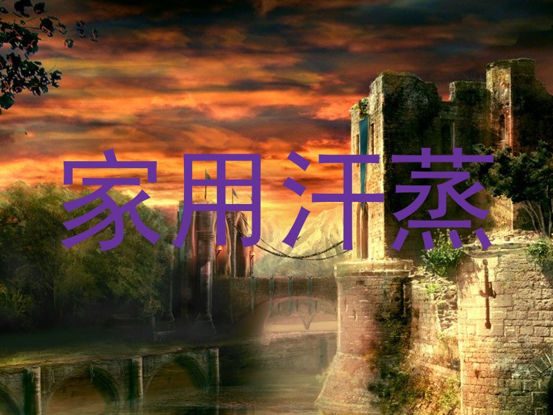 家用汗蒸