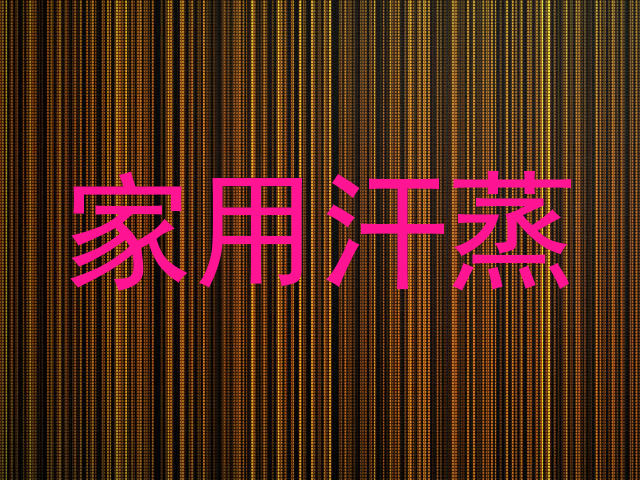 家用汗蒸