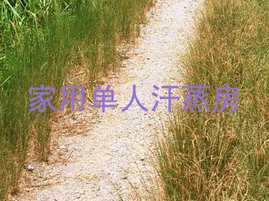 家用单人汗蒸房