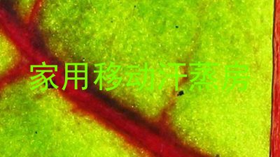 家用移动汗蒸房
