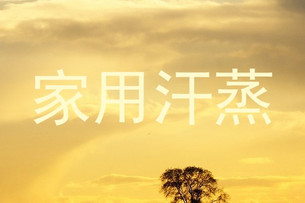 家用汗蒸